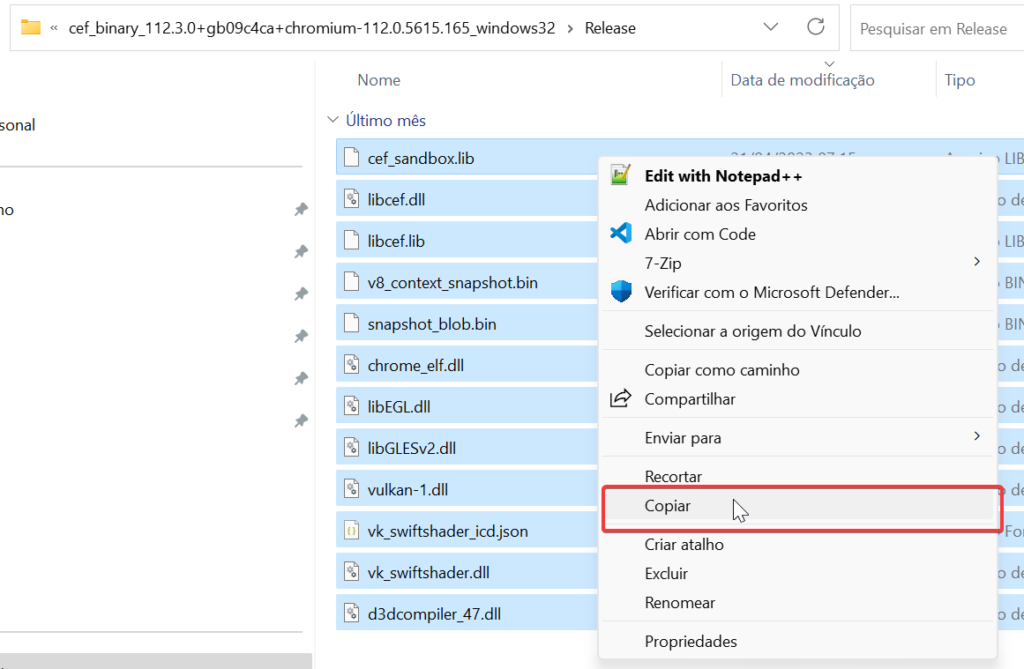 Arquivos de Release selecionados