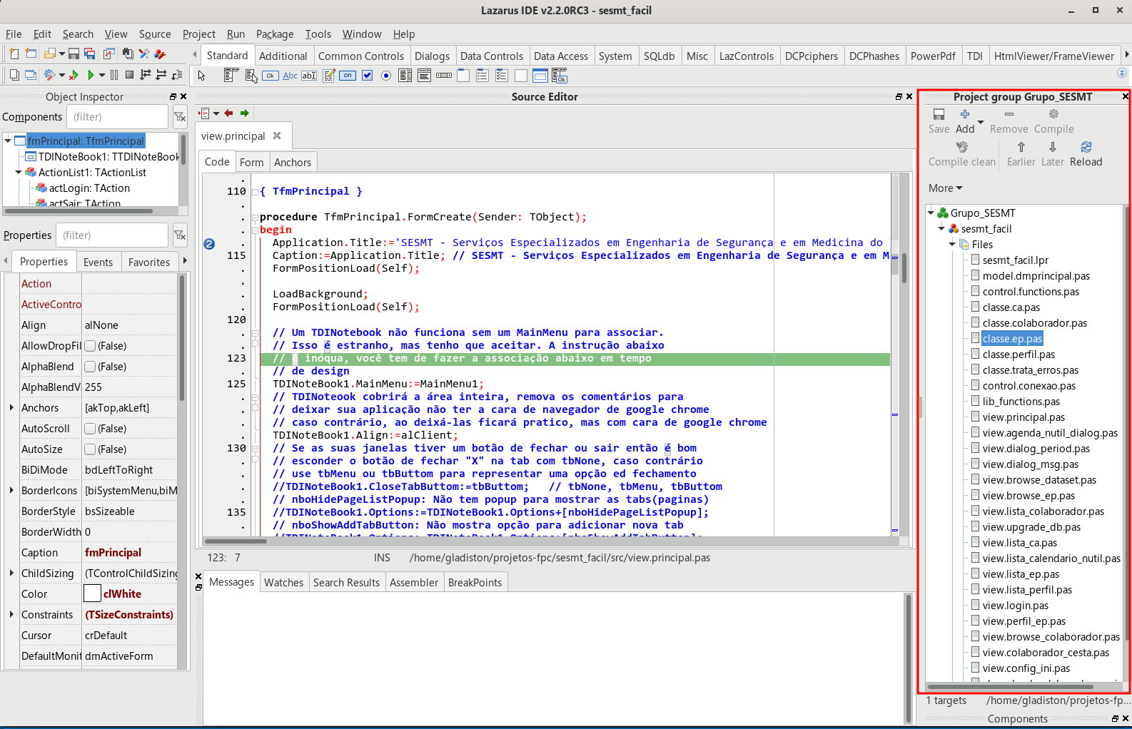 Gerenciador de Projetos docado na lateral da IDE